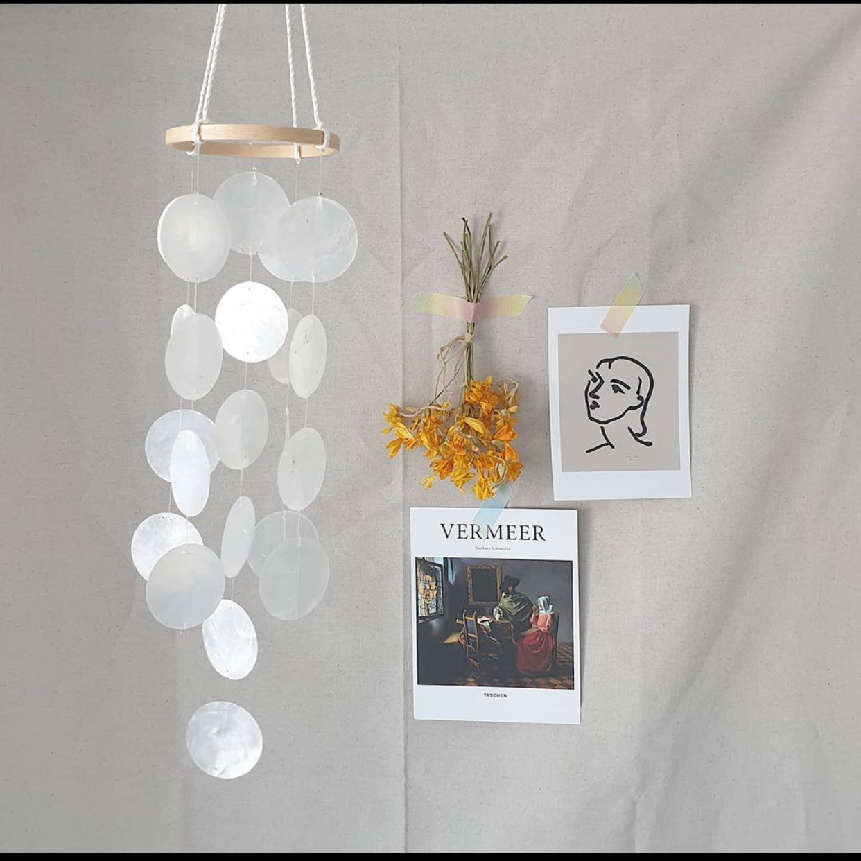 Colorful natural shell wind chime
