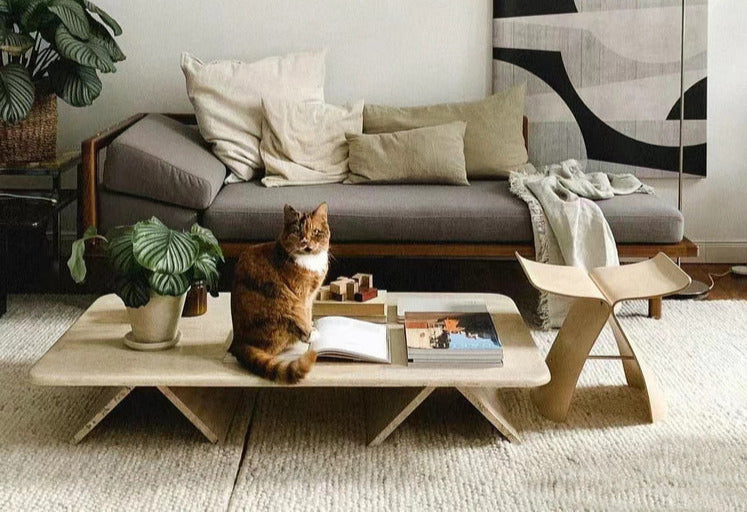 Butterfly Chair Stool